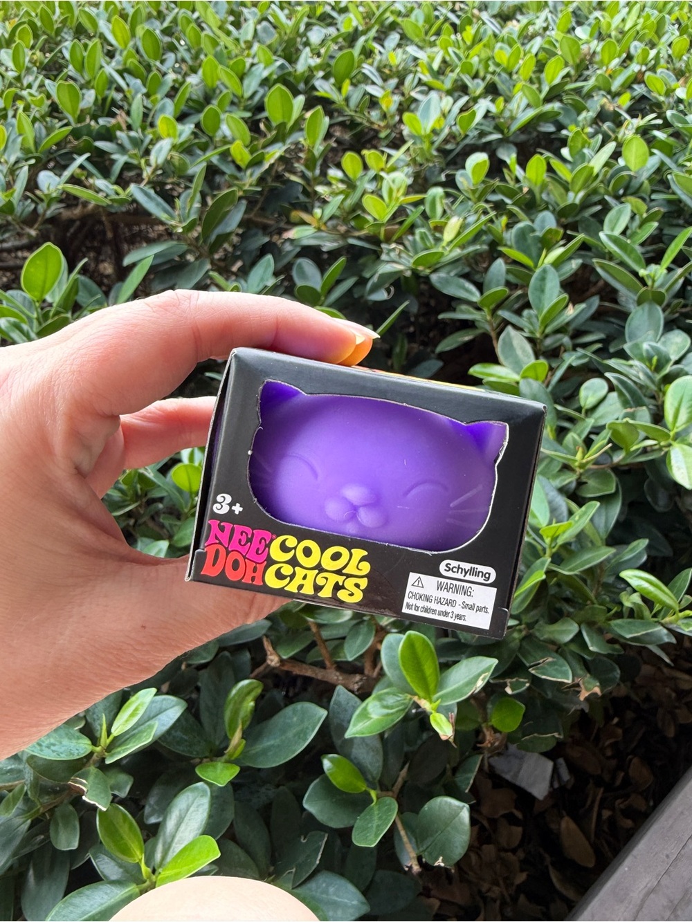 NeeCool Doh Cats - Purple